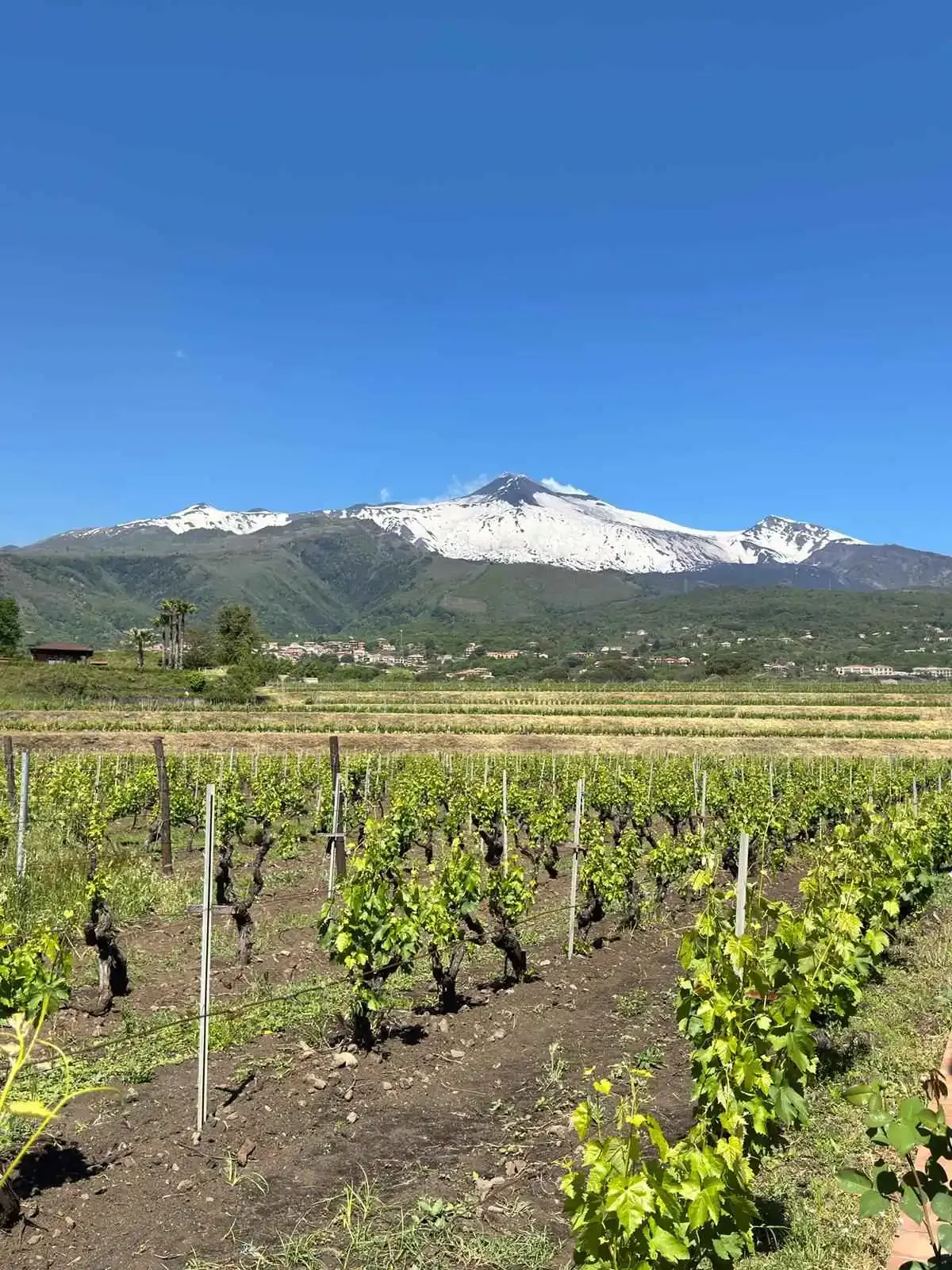 Mount Etna Private Experience